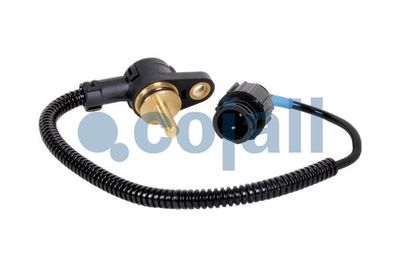 Sensor COJALI 2260658