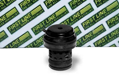 окачване, двигател FIRST LINE FEM3113