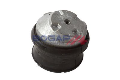 BOGAP Variklio montavimas