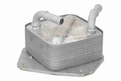 RADIATOR ULEI ULEI MOTOR ACKOJA A32600010 2