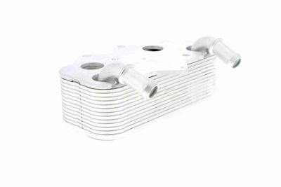 RADIATOR ULEI ULEI MOTOR VEMO V40602096 8