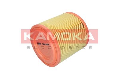 Air Filter F253301