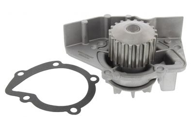 POMPă DE APă RăCIRE MOTOR