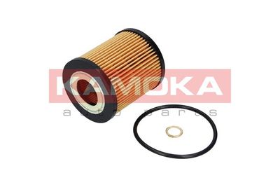 Oil Filter F109401