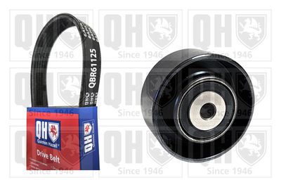 SET CUREA TRANSMISIE CU CANELURI