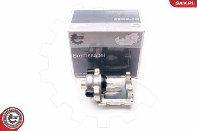 Brake Caliper 34SKV074