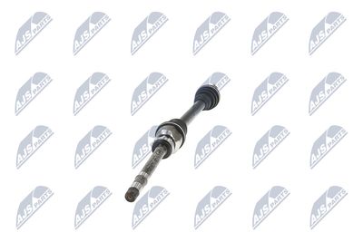 PLANETARA NTY NPWPE101 36