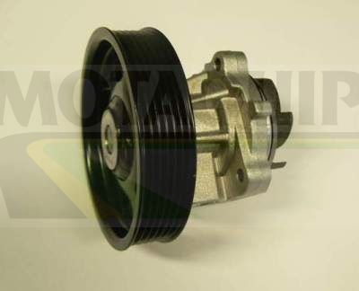 POMPă DE APă RăCIRE MOTOR MOTAQUIP VWP839 1