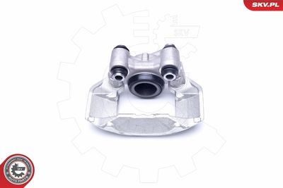 Brake Caliper 42SKV112