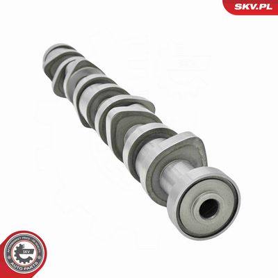 SET AX CU CAME ESEN SKV 80SKV304 4