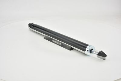 AMORTIZOR FEBEST 21650805R 9