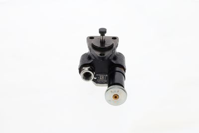 BOSCH Kraftstoffpumpe