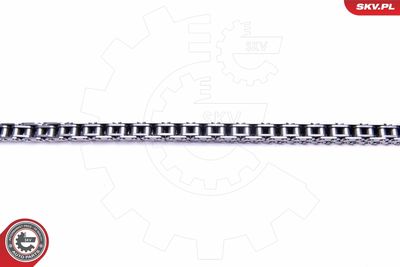 Timing Chain Kit 21SKV171