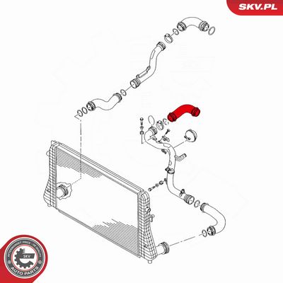 FURTUN EAR SUPRAALIMENTARE ESEN SKV 24SKV028 3