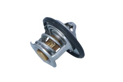 TERMOSTAT LICHID RACIRE NRF 725305 22
