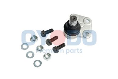 Šarnyras / girgždukas