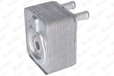 RADIATOR ULEI ULEI MOTOR BIRTH 8917 9
