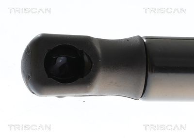 AMORTIZOR PORTBAGAJ TRISCAN 871043309 1