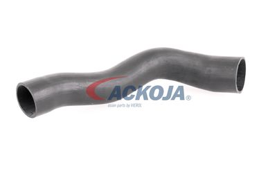 FURTUN EAR SUPRAALIMENTARE ACKOJA A379600 56