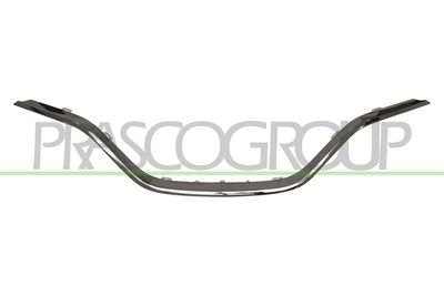 ZIER-/SCHUTZLEISTE KüHLERGITTER