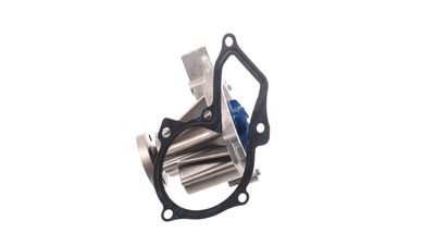 WASSERPUMPE MOTORKüHLUNG SKF VKPC84217 29