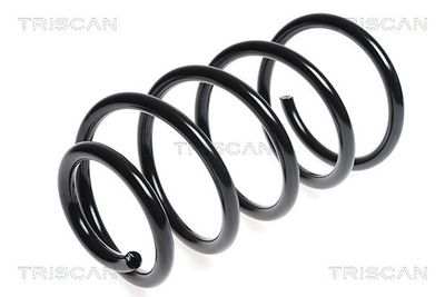 TRISCAN 8750 16070 Пружина подвески  для FORD KUGA (Форд Kуга)