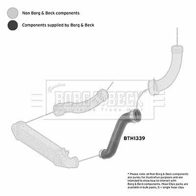 Charge Air Hose Borg & Beck BTH1339