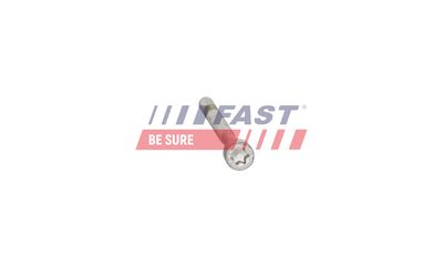 SURUB SUPORT INJECTOR FAST FT12960 17