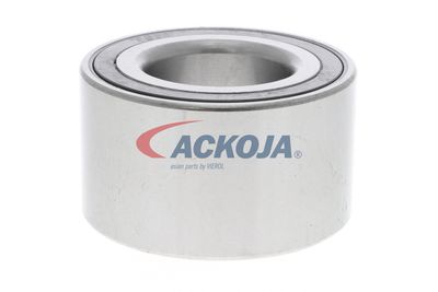 SET RULMENT ROATA ACKOJA A320209 17