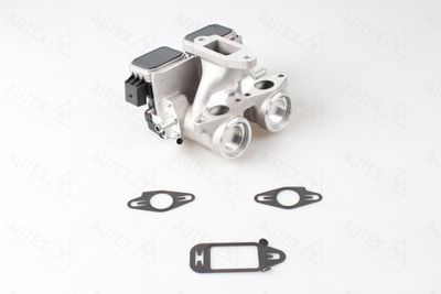 Zawór AGR AUTEX 959113