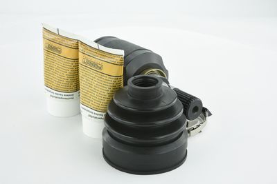 SET ARTICULATIE PLANETARA FEBEST 0411CW5LH 34