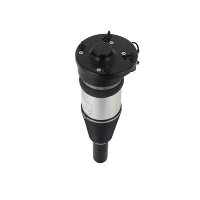 LUFTFEDERBEIN Arnott ASE3631 69