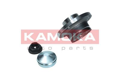 Wheel Bearing Kit 5500327