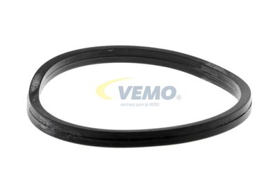 GARNITURA TERMOSTAT VEMO V30999005 46