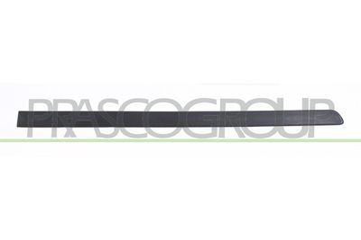 ELEMENTE DECORATIVE/PROTECTIE PORTIERA