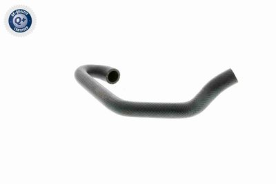 FURTUN RADIATOR VAICO V201701 6