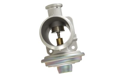 AGR-szelep HELLA 6NU 010 171-691 for BMW
