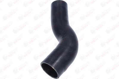 FURTUN EAR SUPRAALIMENTARE BIRTH 55797 4
