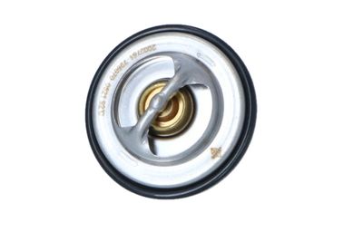 TERMOSTAT LICHID RACIRE NRF 725070 39