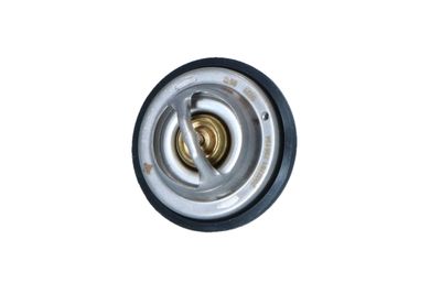 TERMOSTAT LICHID RACIRE NRF 725194 10