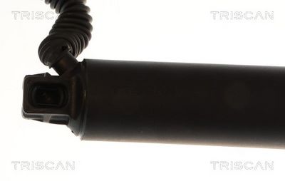 Gasfjeder, kuffert-/lastrum TRISCAN 8710 29340
