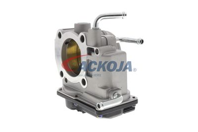 CARCASA CLAPETA ACKOJA A70810007 43