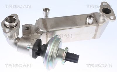 AGR-Клапан TRISCAN 8813 11009