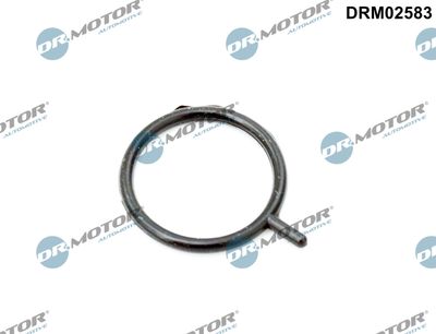 Vorschau Dichtring, Motorölstandsensor