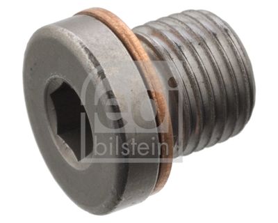 FEBI BILSTEIN Afsluitplug, cilinderkop (101021)