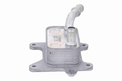 ÖLKüHLER MOTORöL VEMO V46600089 6