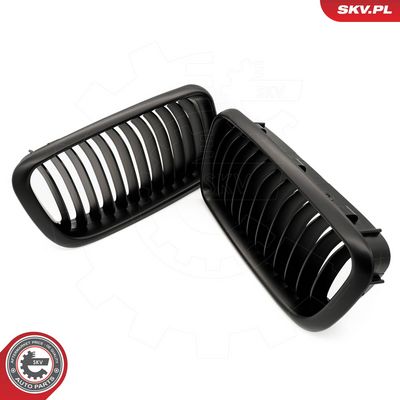 GRILA RADIATOR ESEN SKV 66SKV213 3