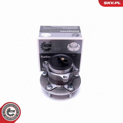 SET RULMENT ROATA ESEN SKV 29SKV412