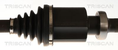 PLANETARA TRISCAN 854016652 2