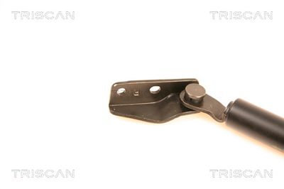 AMORTIZOR PORTBAGAJ KAWE 871050230 1